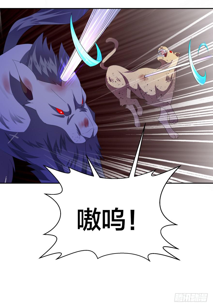 《遗落秘境》兽潮来袭 第41页