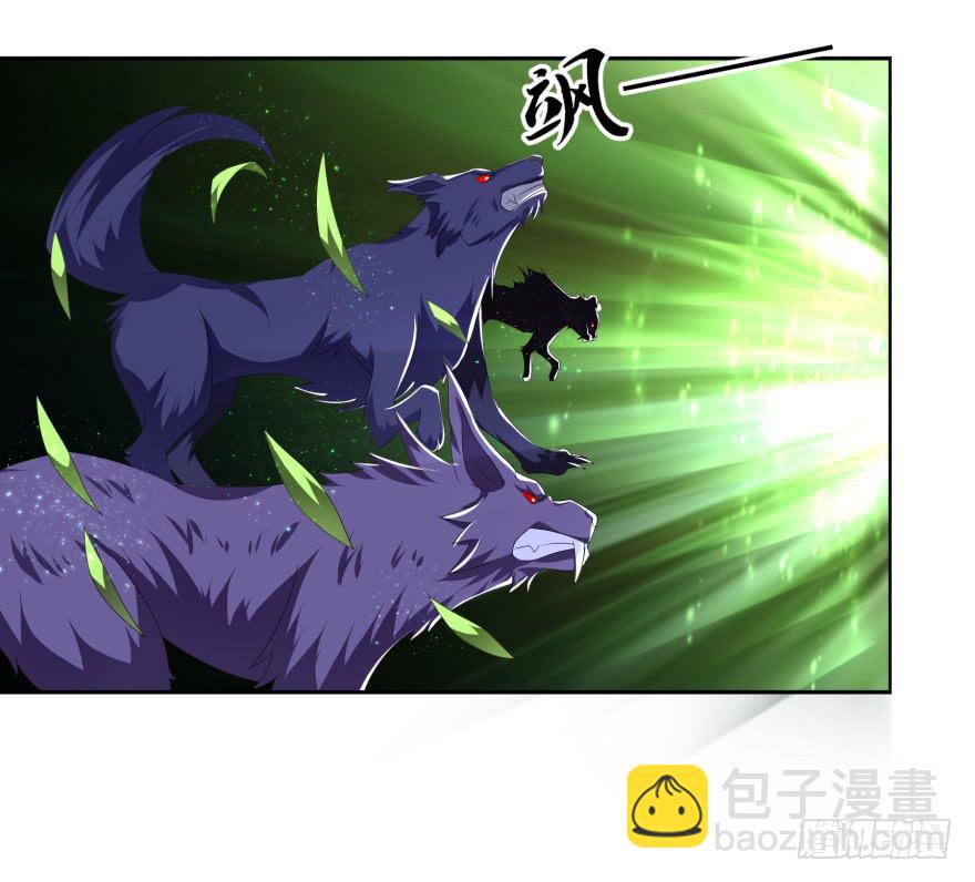 《遗落秘境》兽潮来袭 第46页