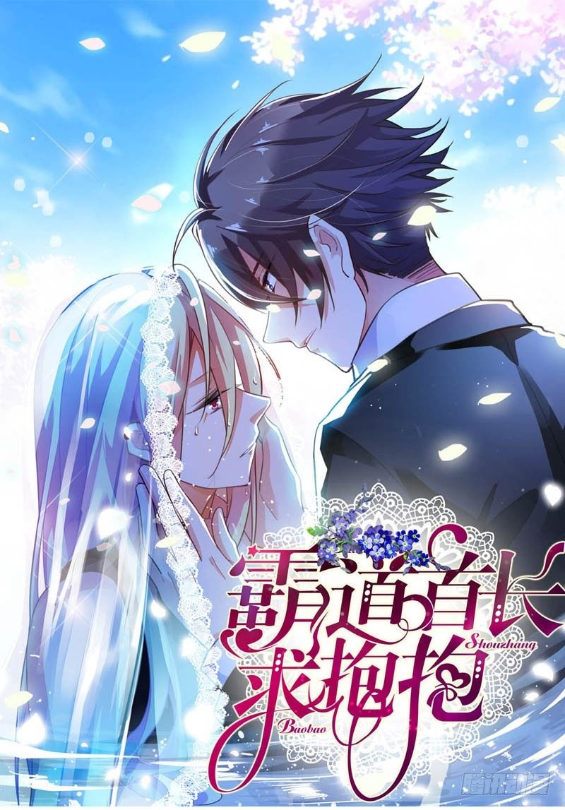 《霸道首长求抱抱》你的名字我记住了 第1页