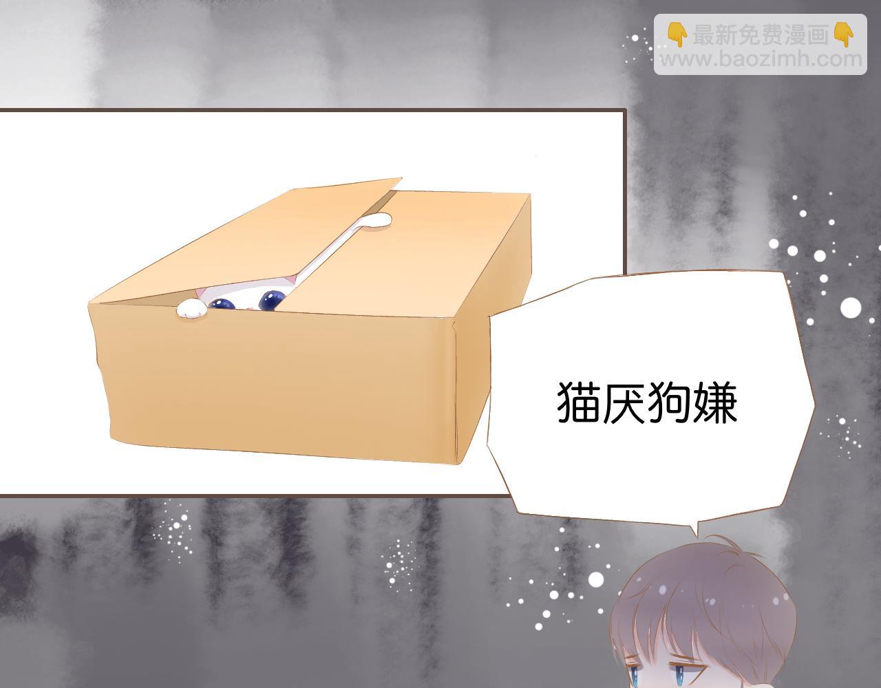 《秦先生，看好你的狗》3bong 第6页