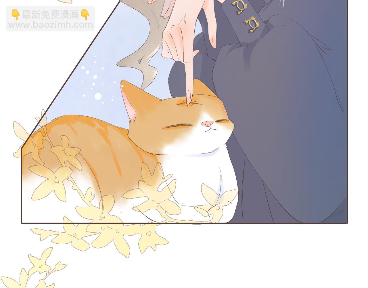 《秦先生，看好你的狗》14章 第36页