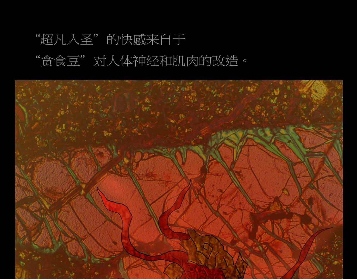《封神劫世录》序章07 贪食豆 第31页
