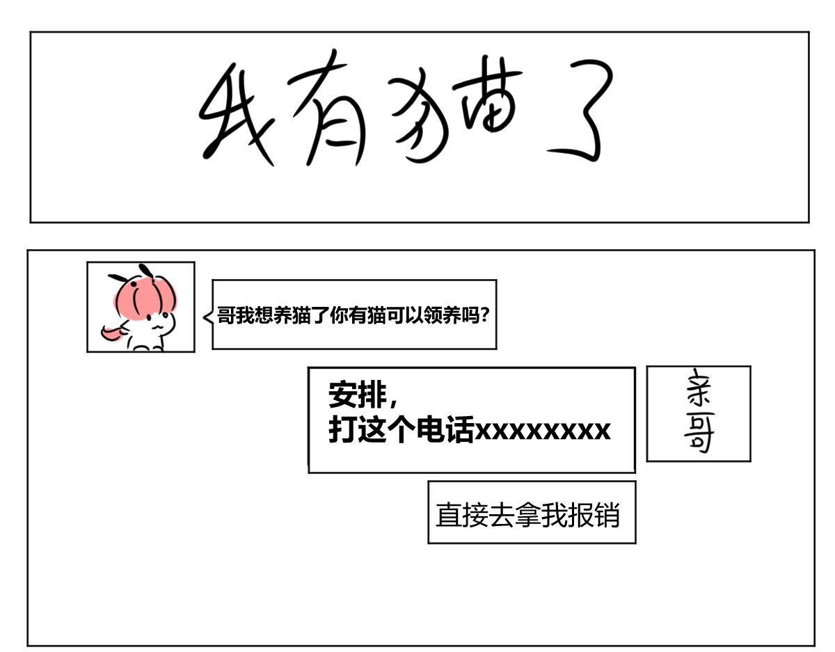 《自设的日常》我有猫了 第1页