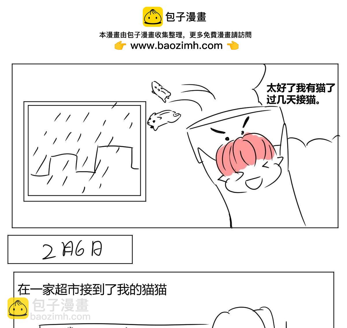 《自设的日常》我有猫了 第2页