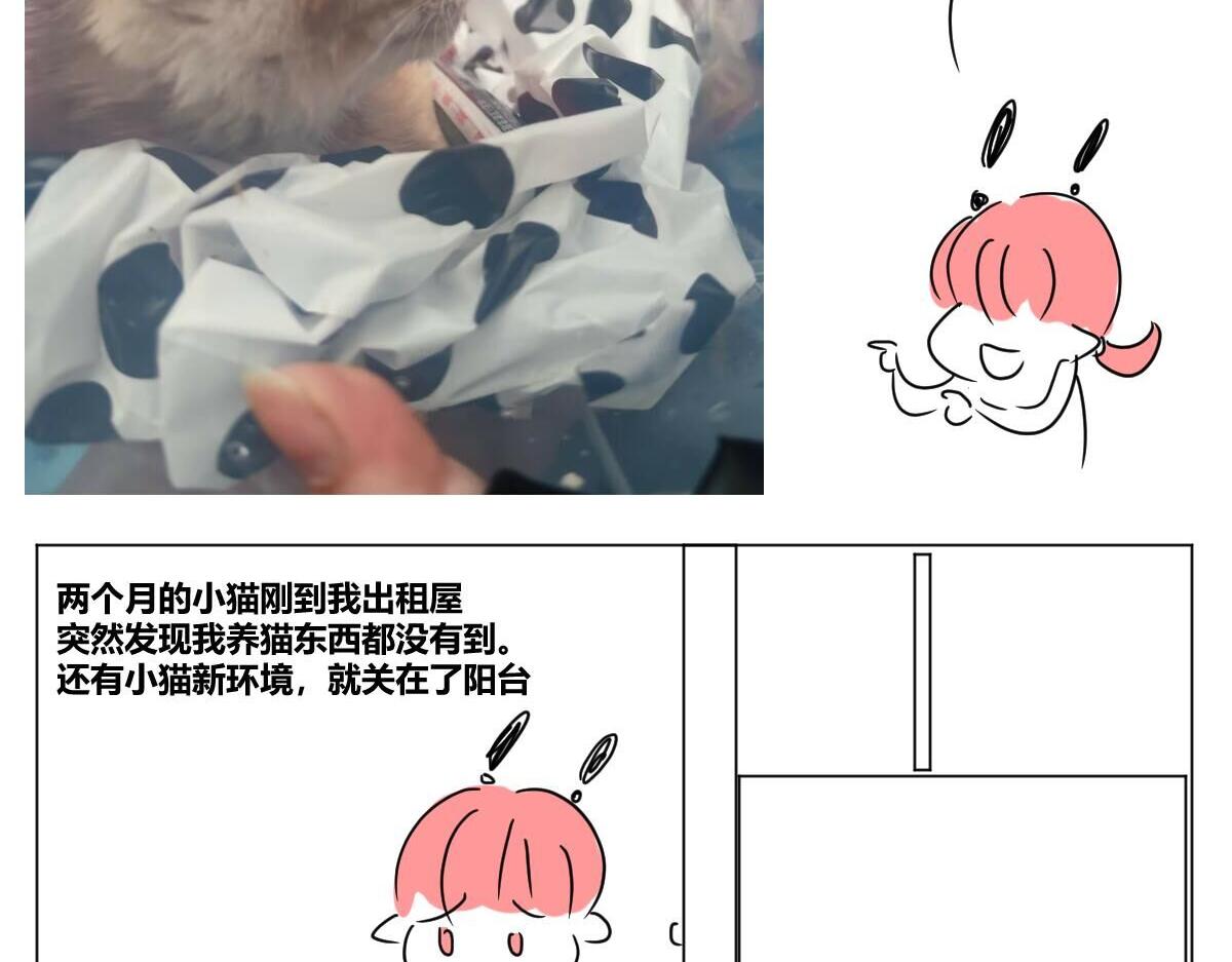 《自设的日常》我有猫了 第4页