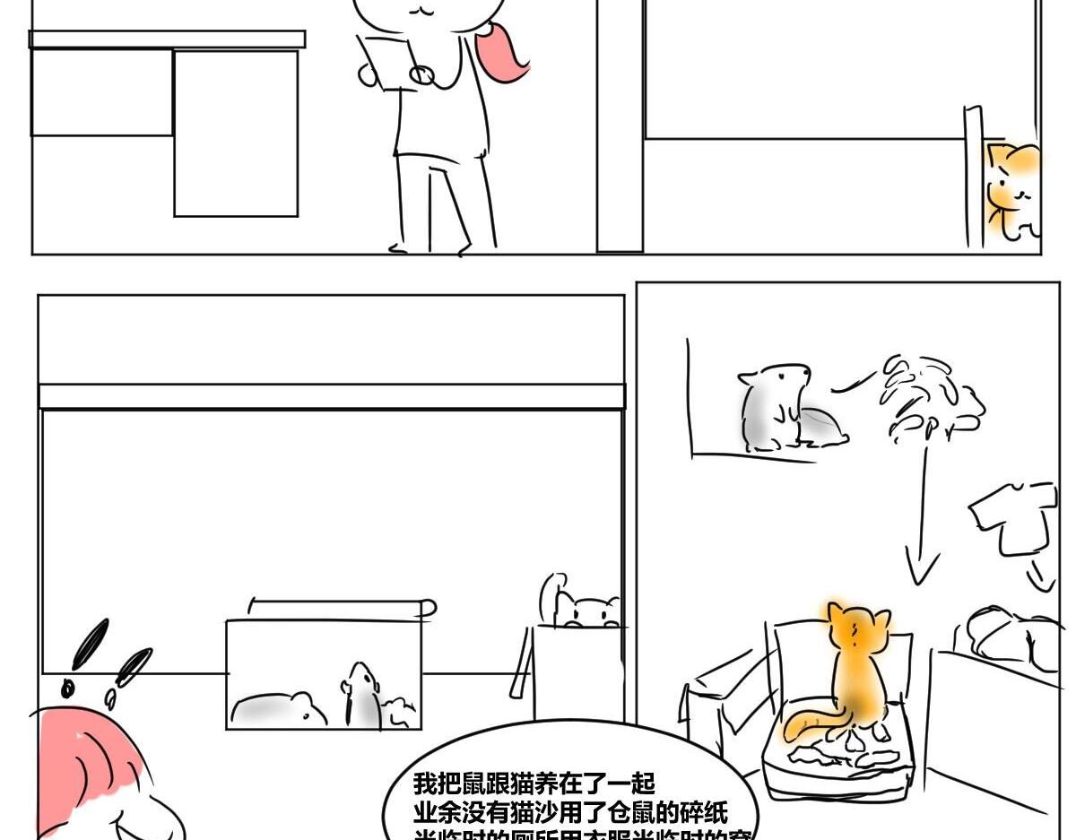 《自设的日常》我有猫了 第5页