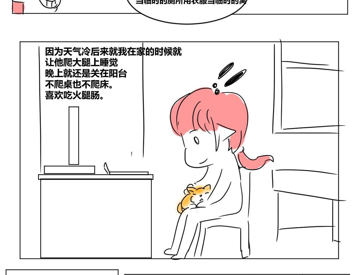 《自设的日常》我有猫了 第6页