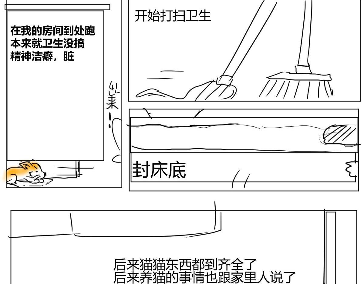 《自设的日常》我有猫了 第7页