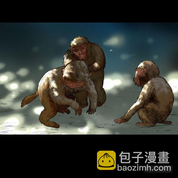 《画诡（诡入画）》猴戏-1 第13页