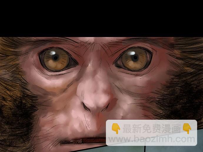 《画诡（诡入画）》猴戏-1 第31页