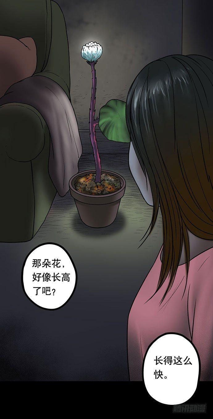 《画诡（诡入画）》花-2 第26页