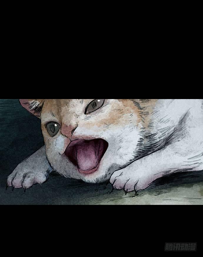 《画诡（诡入画）》猫-3 第1页