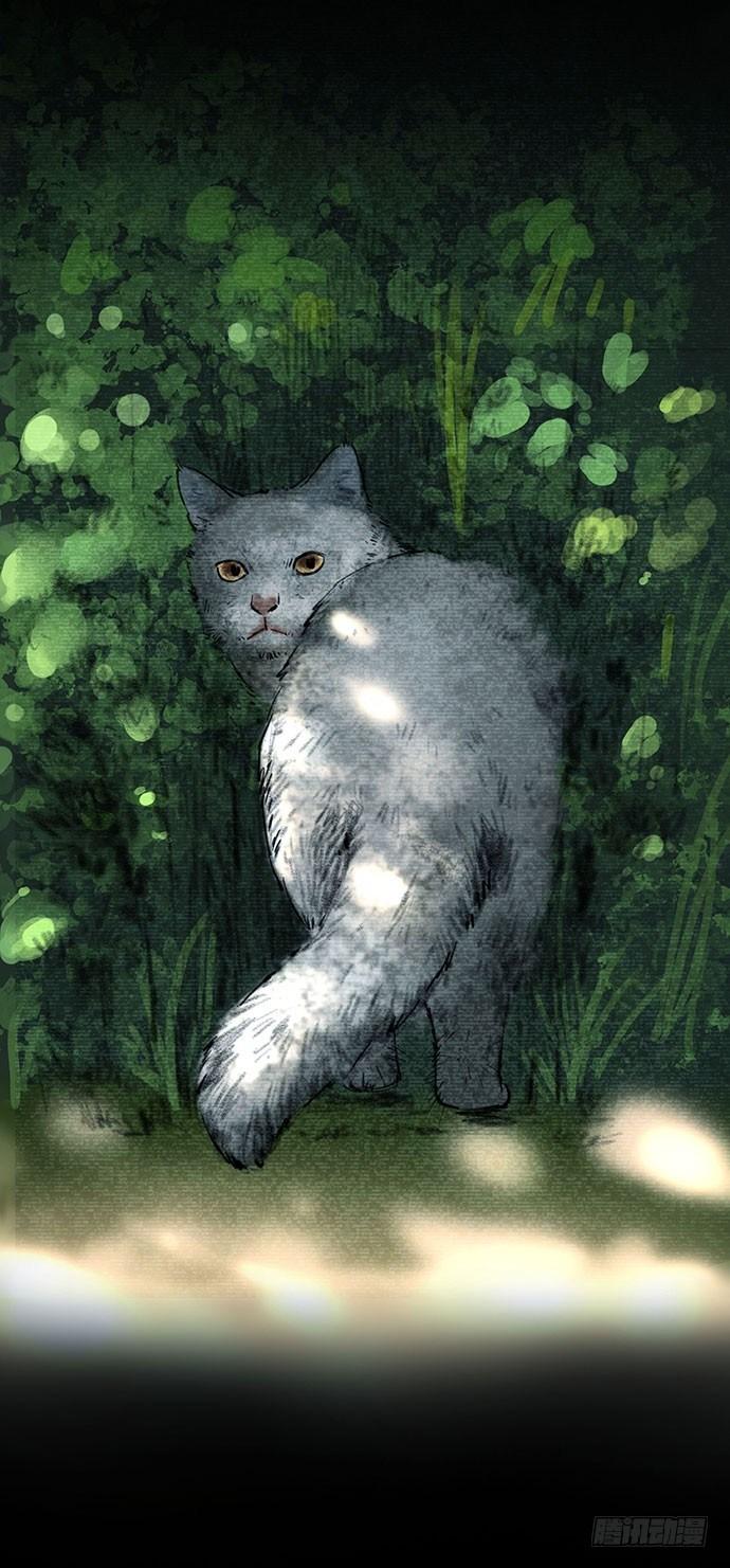 《画诡（诡入画）》猫-3 第4页