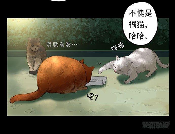 《画诡（诡入画）》猫-1 第11页