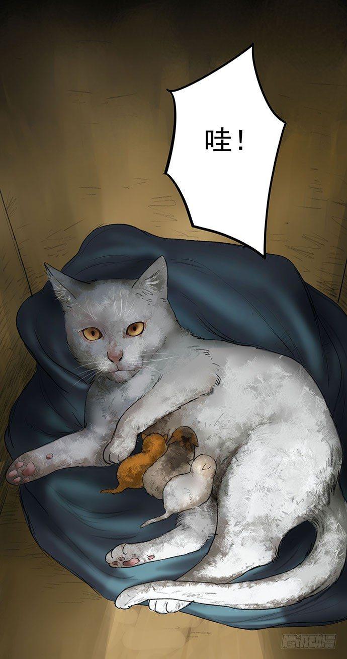 《画诡（诡入画）》猫-1 第17页