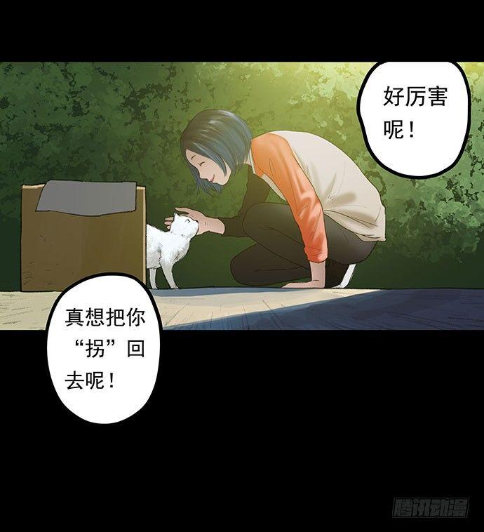 《画诡（诡入画）》猫-1 第19页