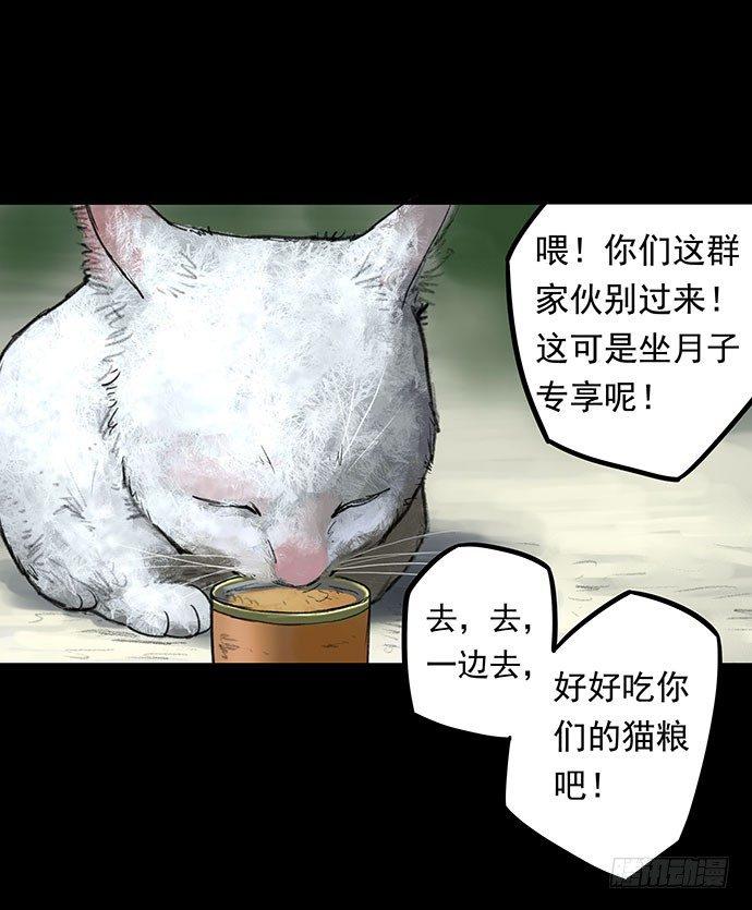 《画诡（诡入画）》猫-1 第21页