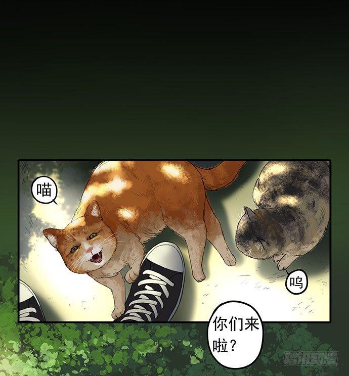 《画诡（诡入画）》猫-1 第2页