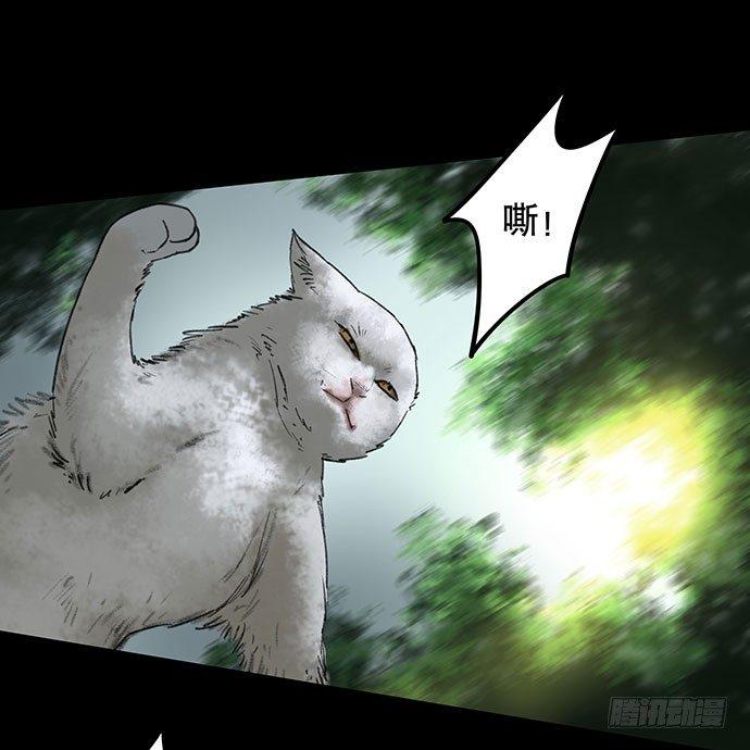 《画诡（诡入画）》猫-2 第39页