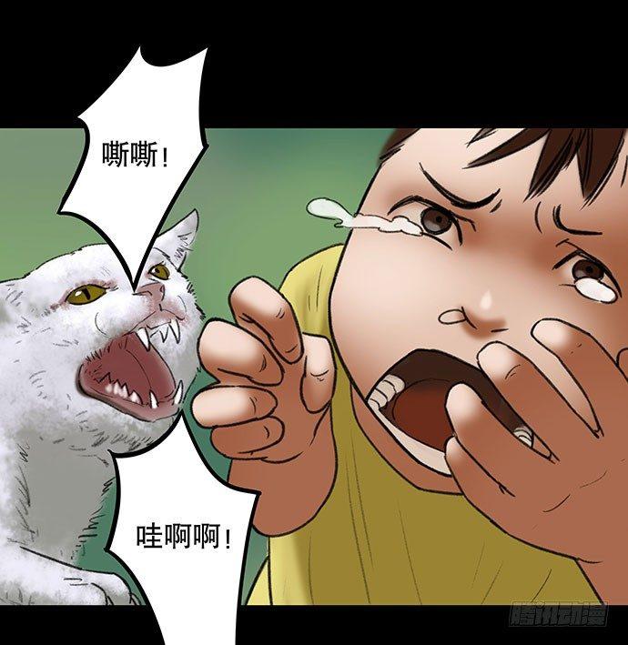 《画诡（诡入画）》猫-2 第42页