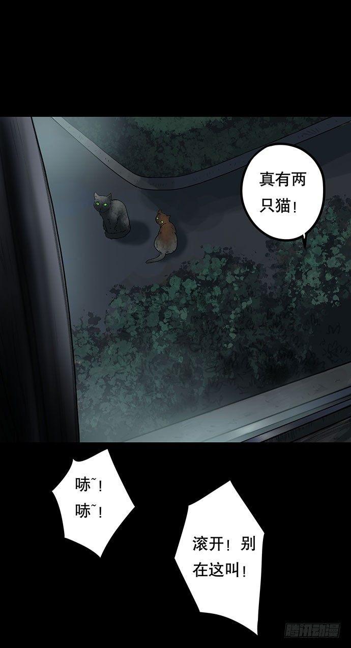 《画诡（诡入画）》猫-4 第14页