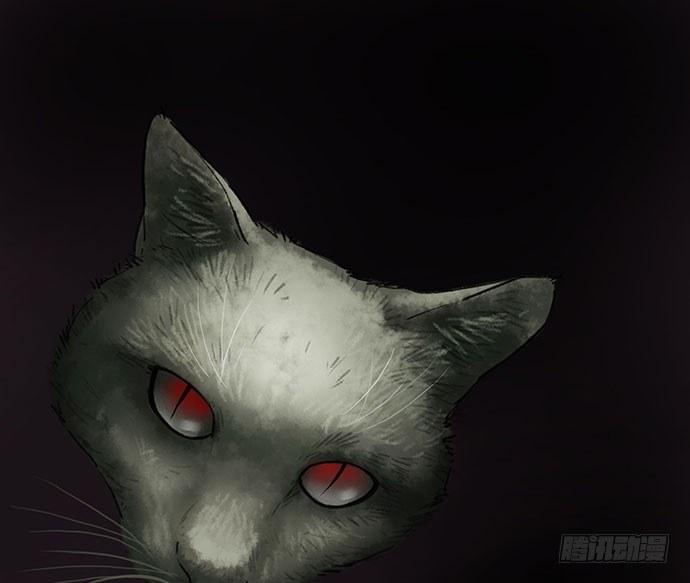 《画诡（诡入画）》猫-4 第17页
