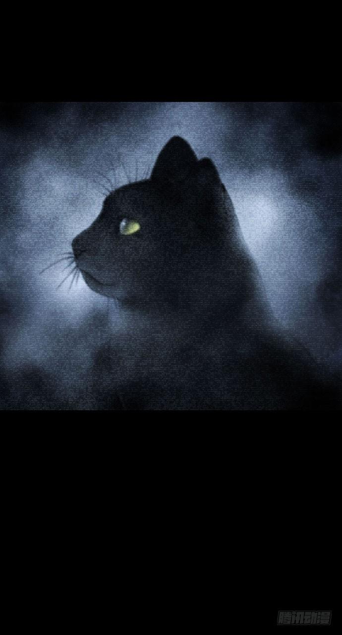 《画诡（诡入画）》猫-5 第3页