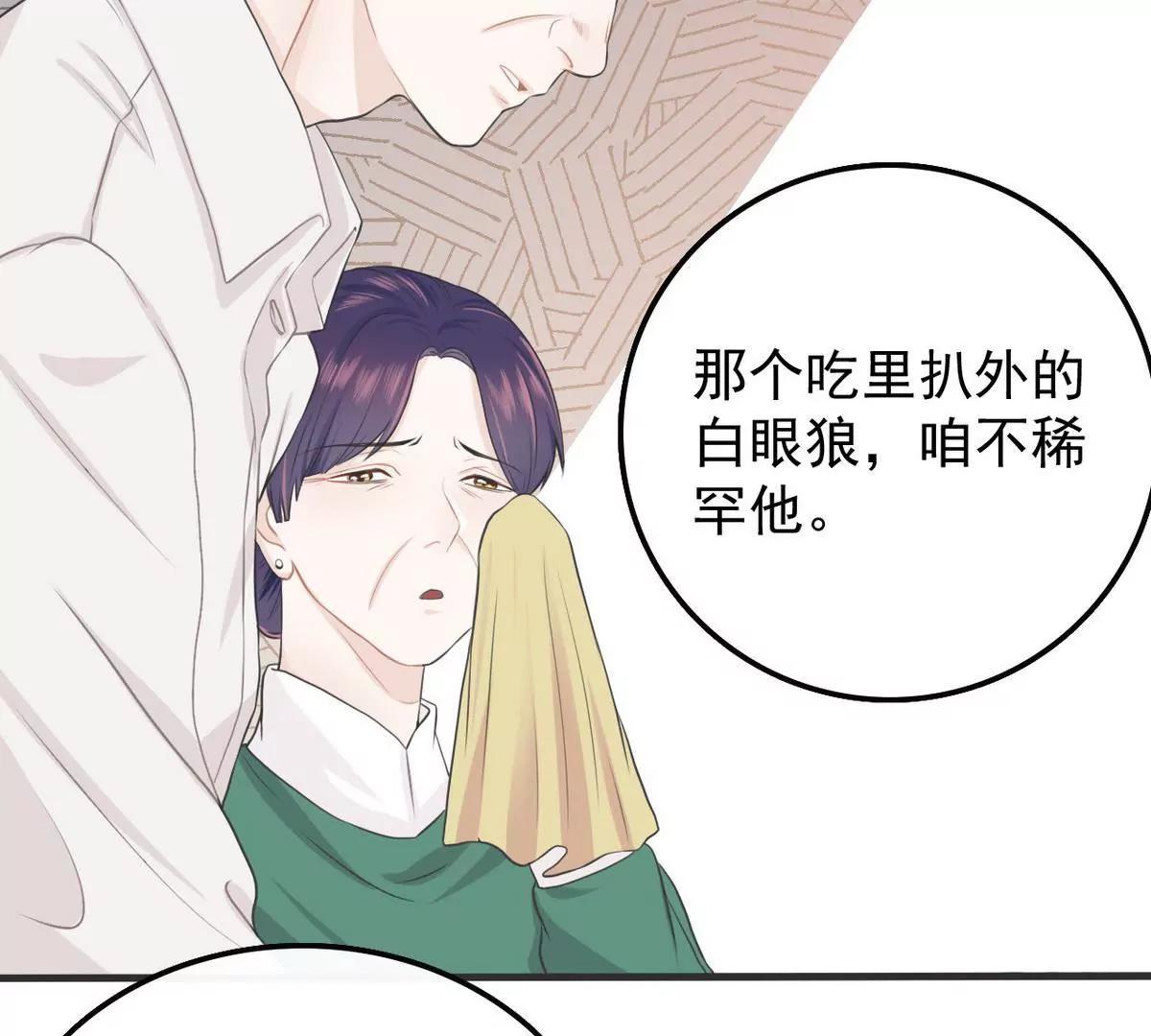 《少帅的私宠娇妻》第2话 18年的粮食喂了狗 第11页
