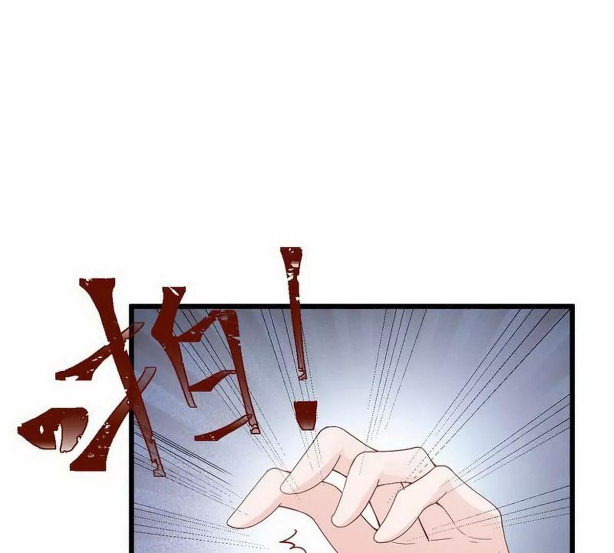 《少帅的私宠娇妻》第13话 毁她容的大帅 第4页