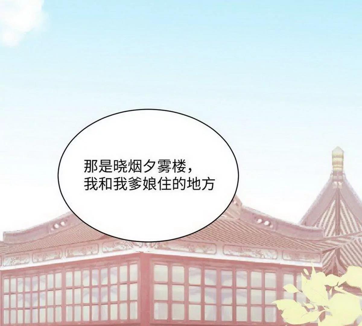 《少帅的私宠娇妻》第15话 晓烟夕雾楼 第41页