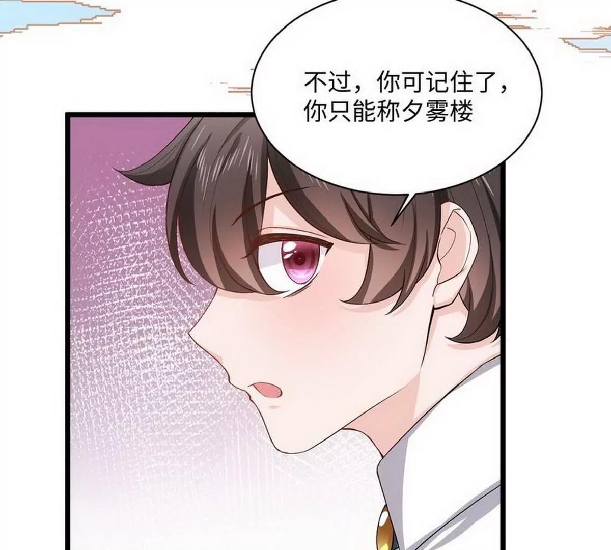 《少帅的私宠娇妻》第15话 晓烟夕雾楼 第47页