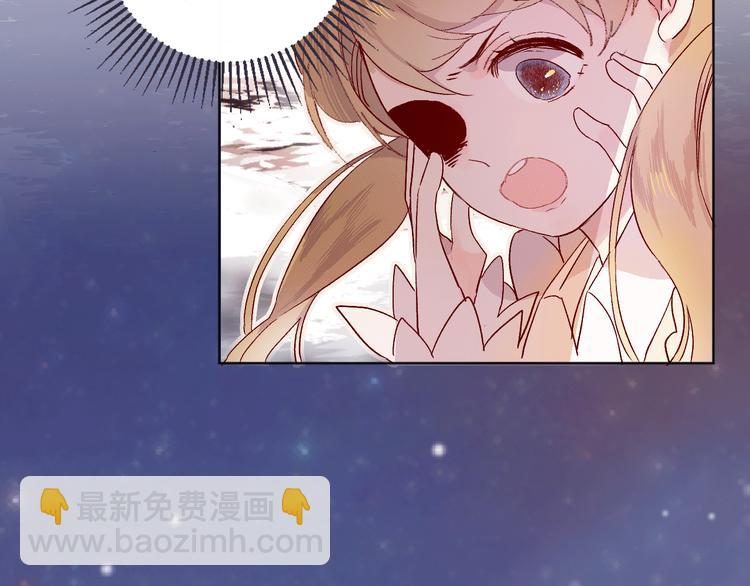 《次元旋风系列》花与隐匿之乌-次元旋风系列 第13页