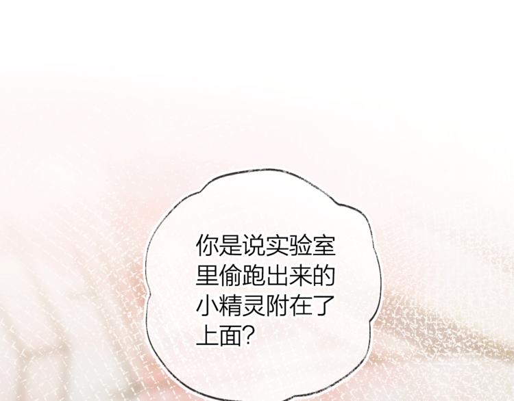 《次元旋风系列》花与隐匿之乌-次元旋风系列 第1页