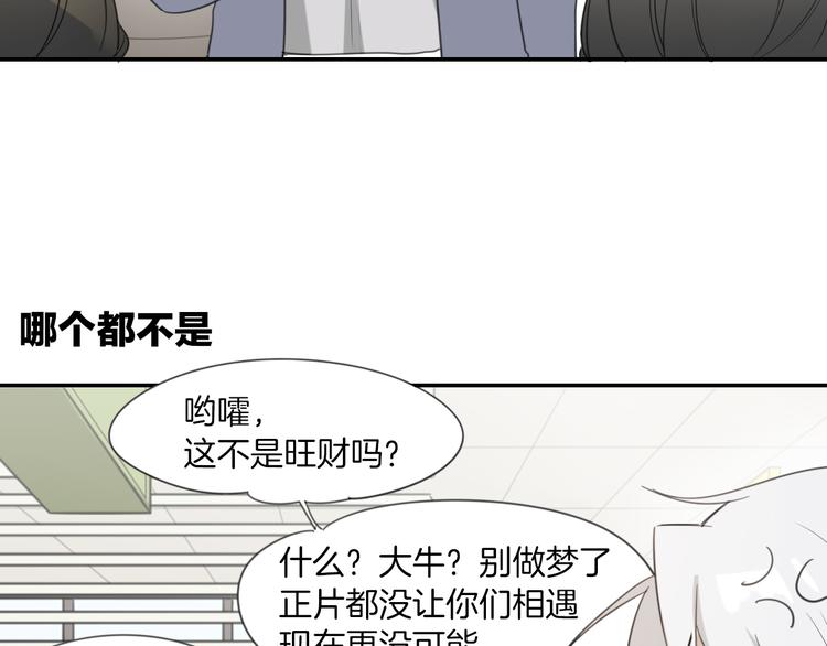 《次元旋风系列》披着狼皮的羊-次元旋风系列 第10页