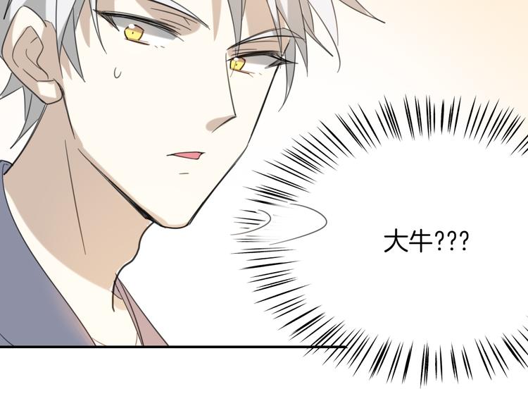 《次元旋风系列》披着狼皮的羊-次元旋风系列 第5页