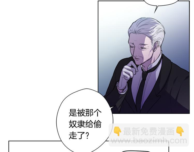 《深陷他的瞳色》第3话 逃奴 第10页