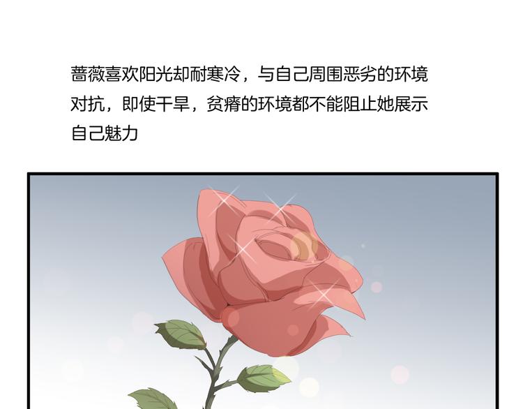 《女王的蔷薇花园》第11话 含义 第40页