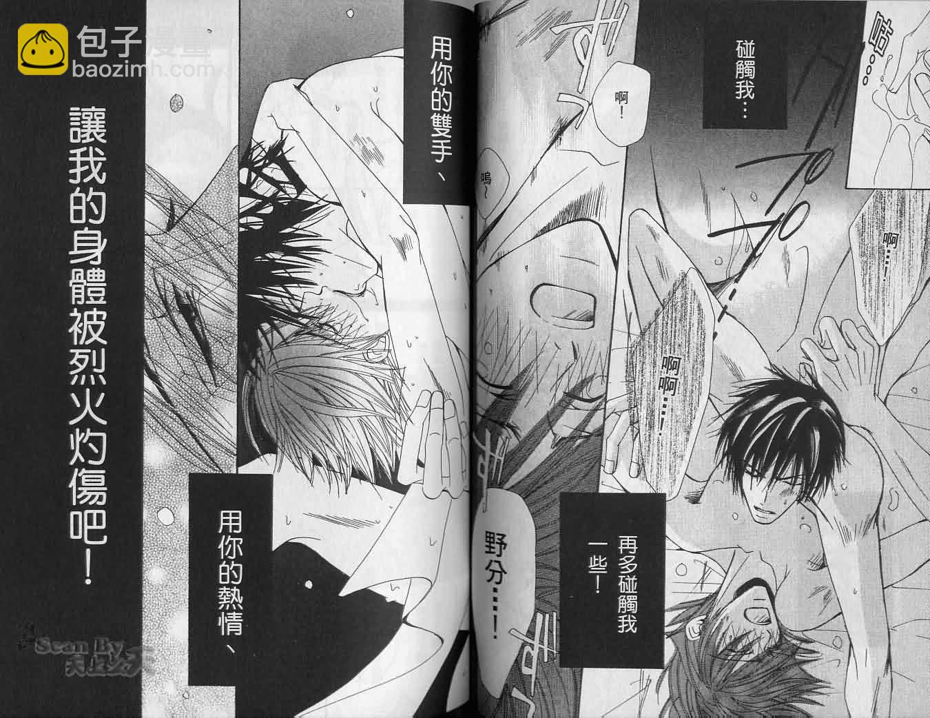 《纯情罗曼史》第2卷 第41页