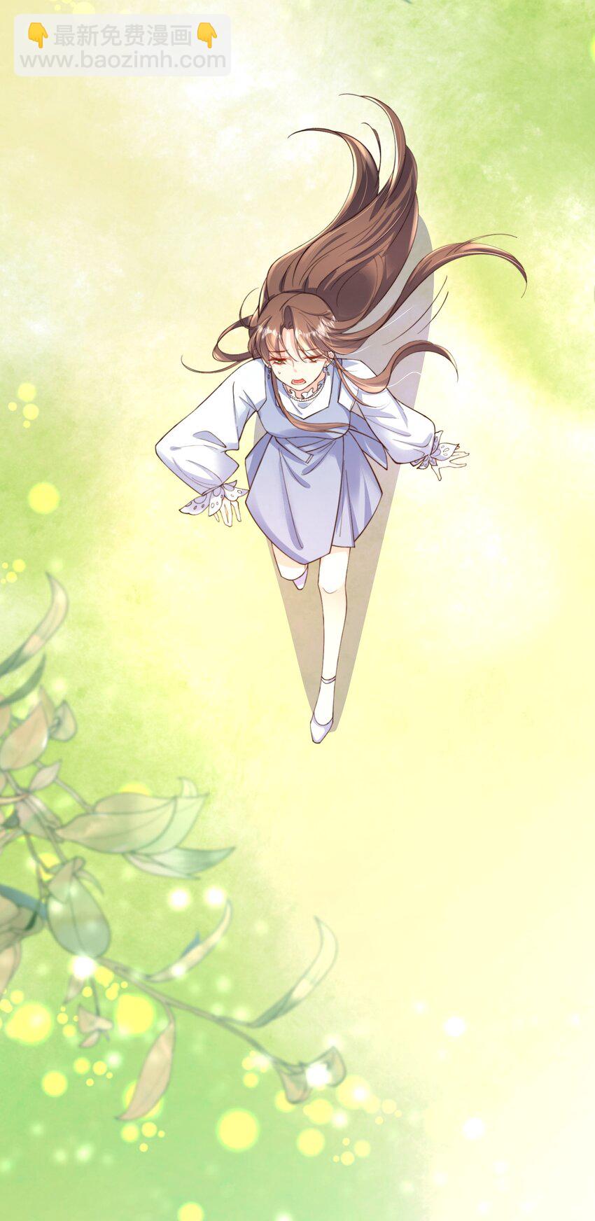 《昭华撩乱》01 夫人疯得很彻底 第24页