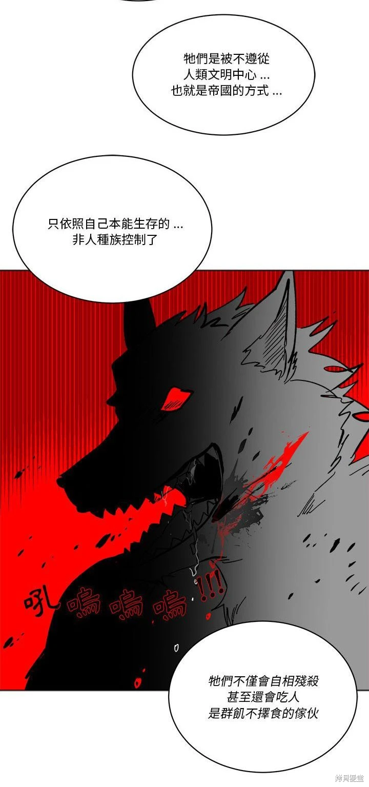 《爱丽丝不再梦游仙境》第49话 第4页