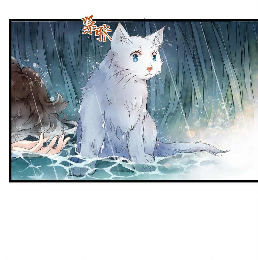 《埋香幻·梨花连城》001 我的两脚兽 第10页