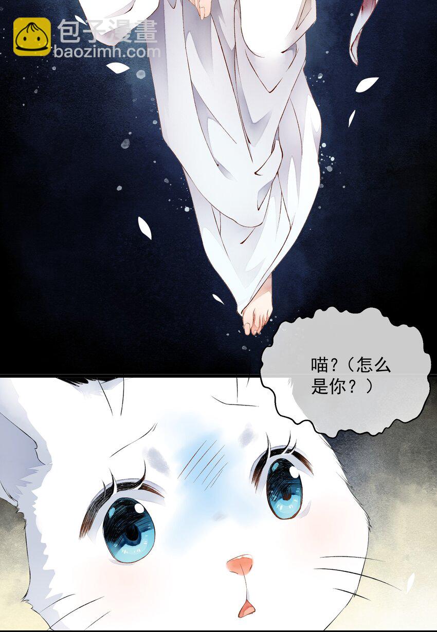 《埋香幻·梨花连城》009 再次重来 第8页