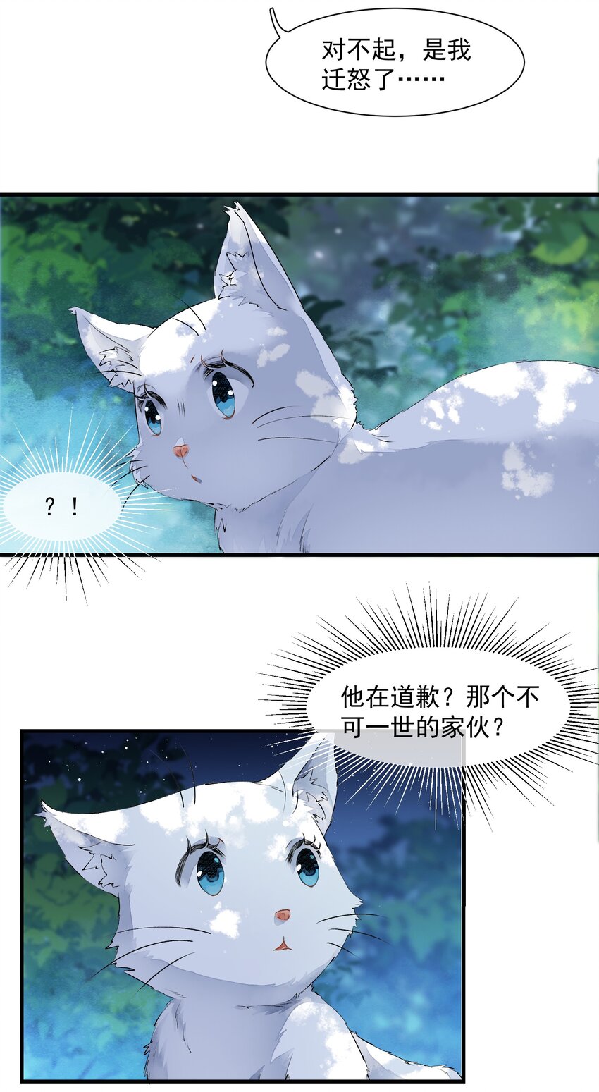 《埋香幻·梨花连城》018 再也不会同情你！ 第5页