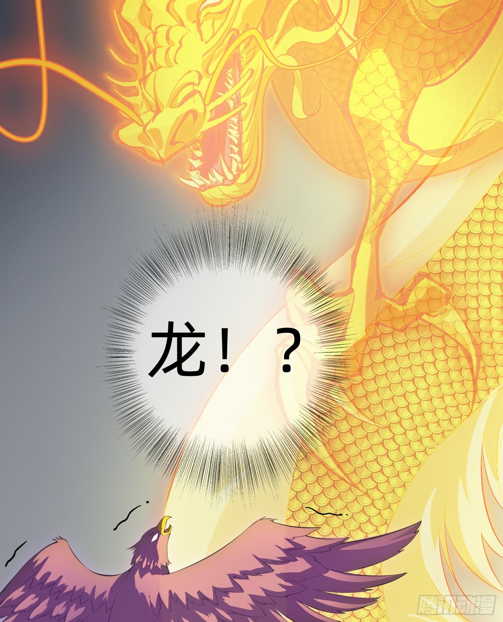 《天命龙神》第13话 在我面前畏惧吧 第11页