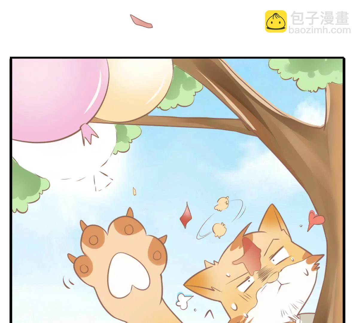 《请订阅我吧，大人！》第3话 我不是故意的喵 第13页