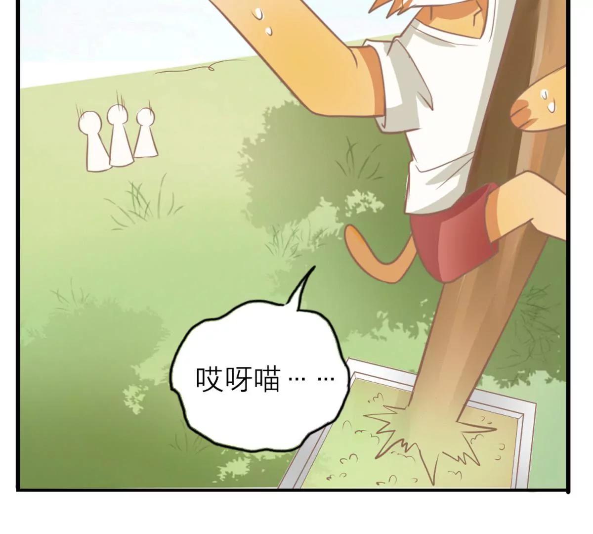 《请订阅我吧，大人！》第3话 我不是故意的喵 第14页