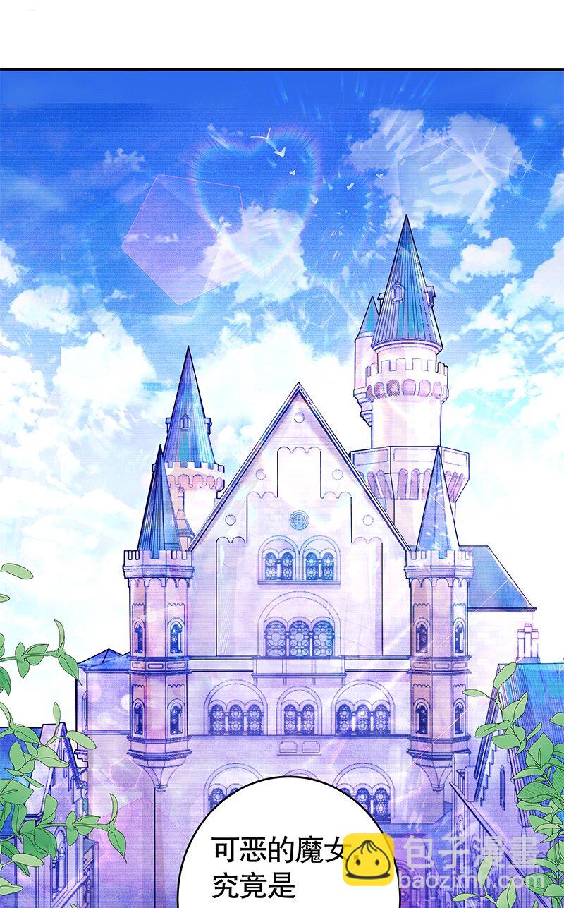 《帝国皇妃不好当》003 魔女小姐收婚书 第2页