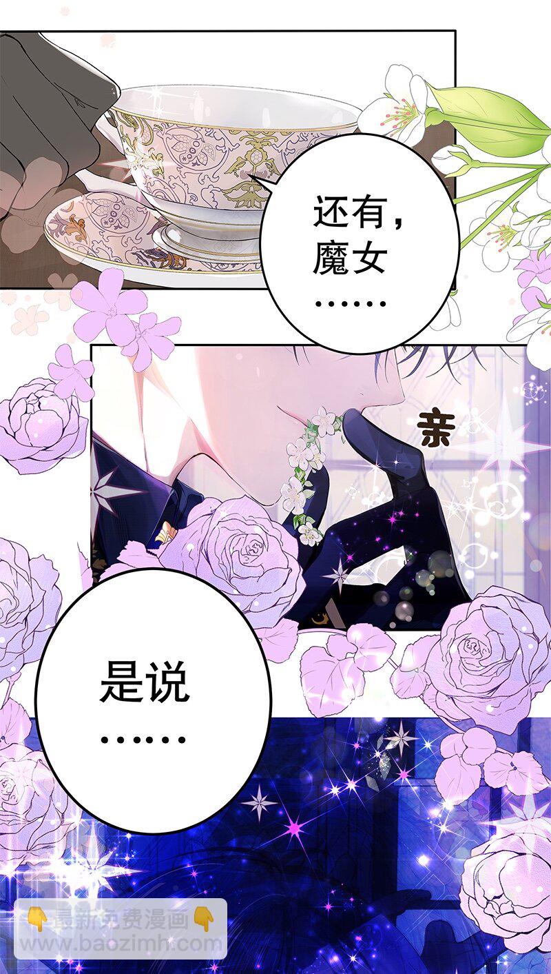 《帝国皇妃不好当》003 魔女小姐收婚书 第8页