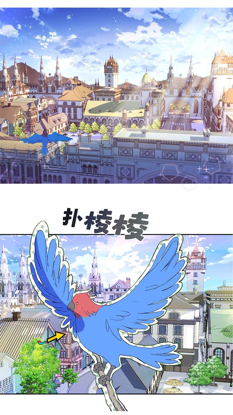 《帝国皇妃不好当》012 不要浪费你的脸蛋和身材 第19页