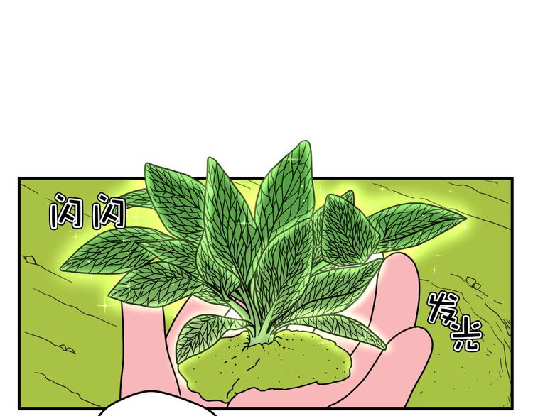 《神奇植物店》序幕 山洞深处的蓝色光芒 第14页